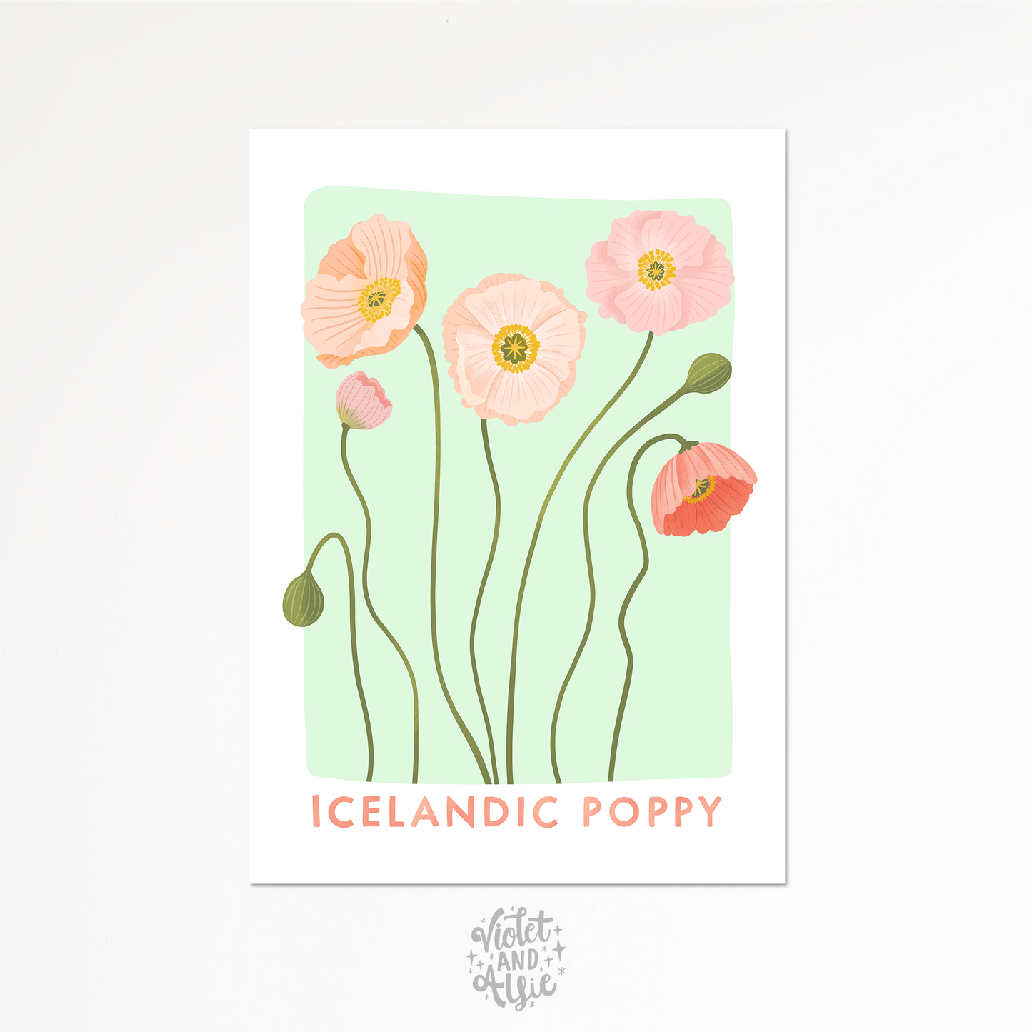 Icelandic Poppy Print